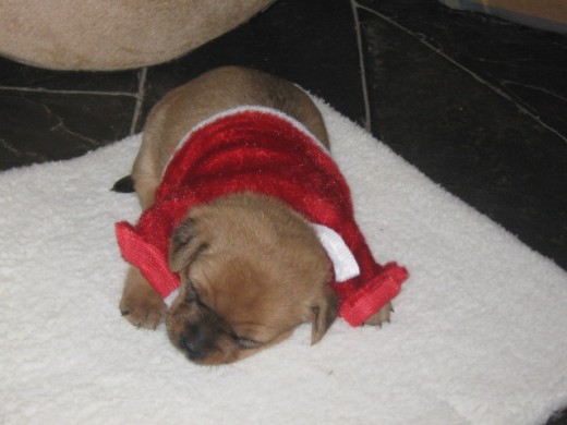 Primer dia, con traje de papa noel